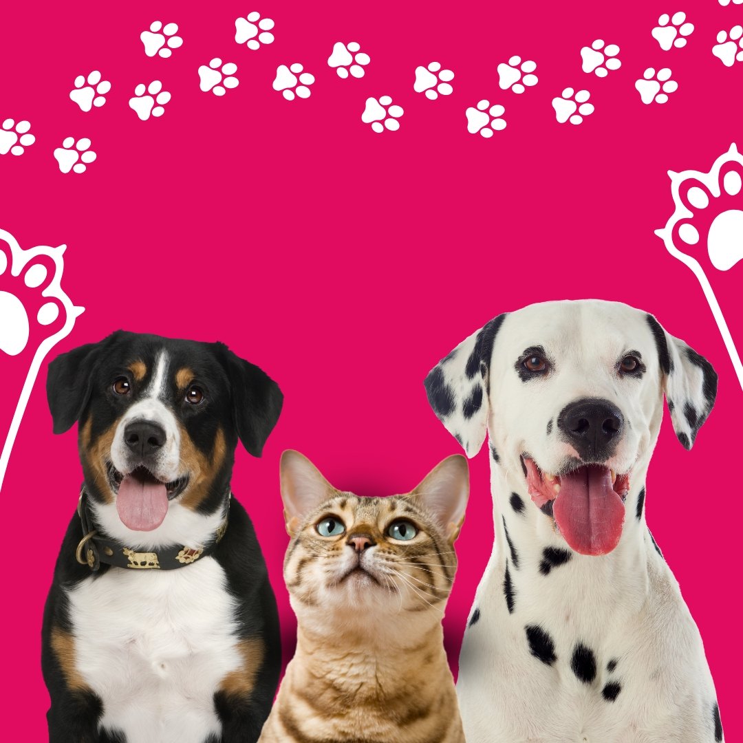 Sem nome (Post para Instagram)